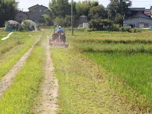 農道草刈り