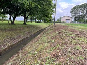 水路法面の草刈り