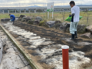 花壇の施肥