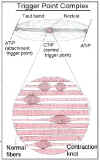 img12.jpg (34922 バイト)