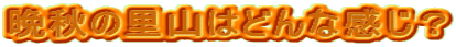 ӏH̗R͂ǂȊH