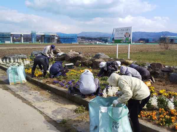 花壇の除草