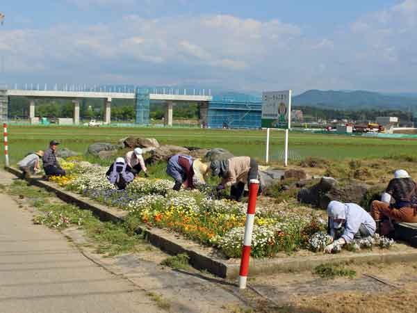 花壇除草