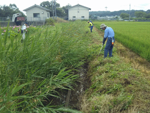農道草刈り