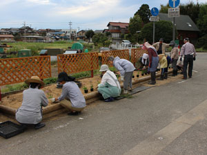 花壇の除草・手入れ