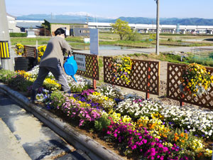 花壇水やり