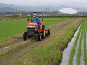 トラクターで除草