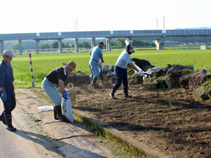 花壇の土壌改良