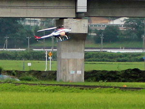 花壇の土壌改良