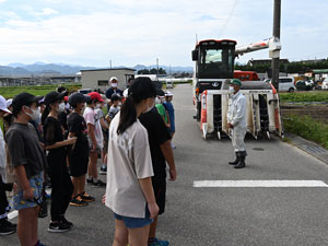 小学校稲刈り