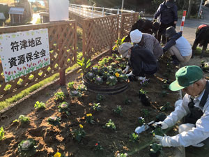 花壇植栽