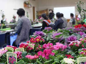 寄せ植え教室