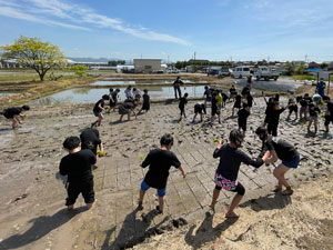 小学校田植え