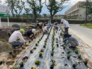 花壇の植栽