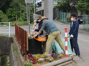 花壇の清掃
