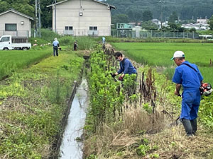 農道草刈り