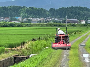 農道の草刈り