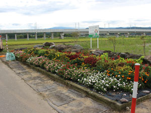 花壇の除草ほか