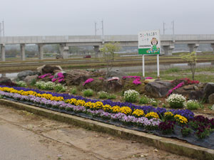 花壇の除草