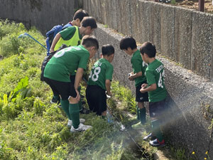 生きもの調査