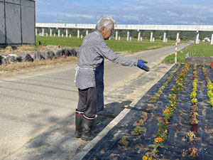 花壇水やり