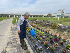 花壇水やり