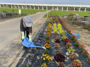 花壇の水やり