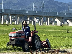 トラクター草刈り