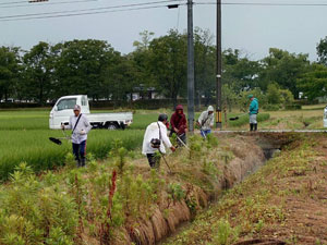 農道・水路の草刈り