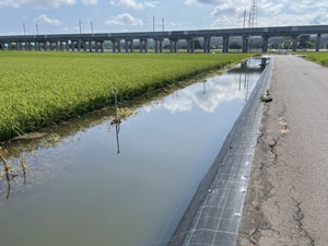 豪雨後の見回り