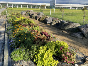 花壇の除草