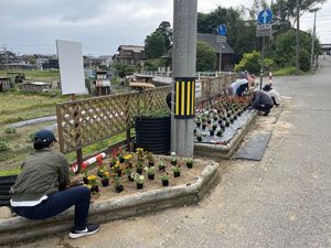 花壇植栽