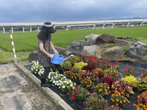 草刈り