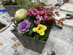 寄せ植え教室