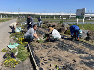 花壇花上げ施肥