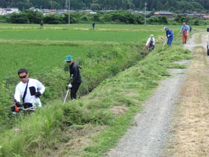 農道の草刈り