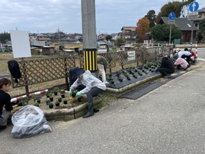 花壇の植栽
