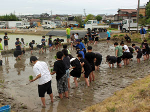 小学校田植え