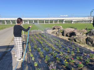 花壇水やりまとめ