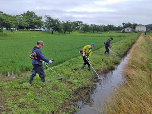 水路の草刈り