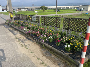 花壇水やりまとめ