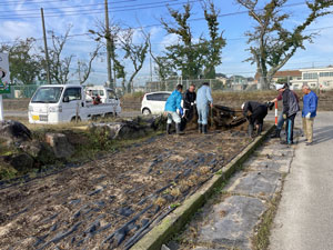 花壇植栽準備(施肥と花壇補修)