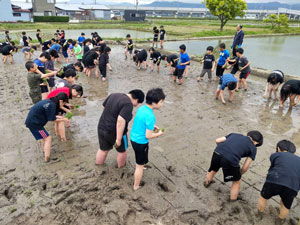 小学校田植え