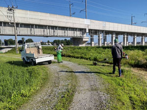 農道と水路法面の草刈り