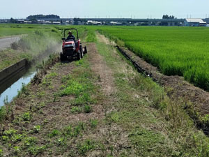 トラクター除草