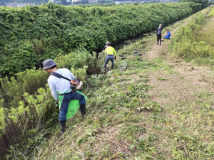 水路農道の草刈りと点検