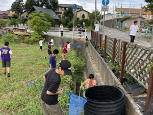 生きもの調査
