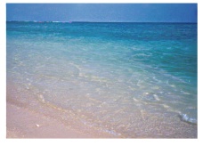 �V��C��99.10