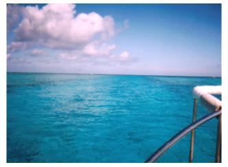 ���d�����֌�����