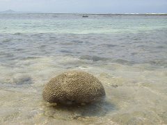 ���A�m�̊C2